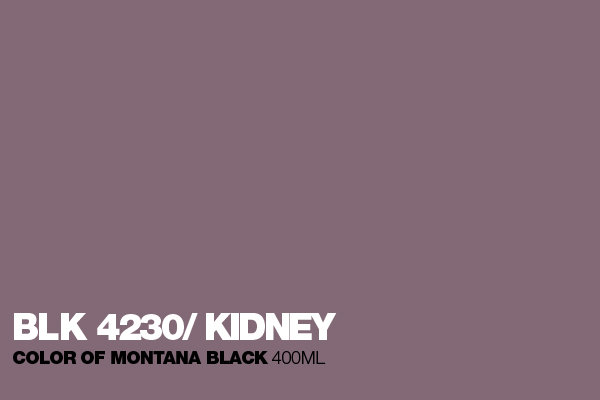 4230 Kidney
