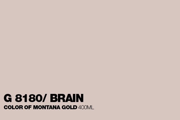 G8180 Brain